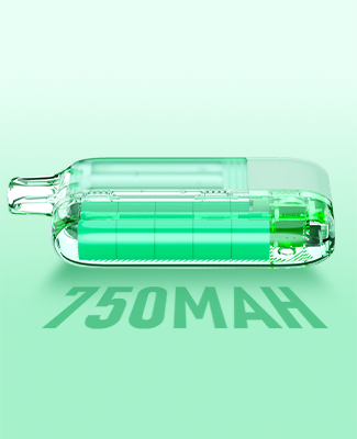 750mAh Battery