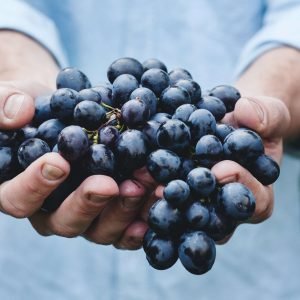 Grape Flavor