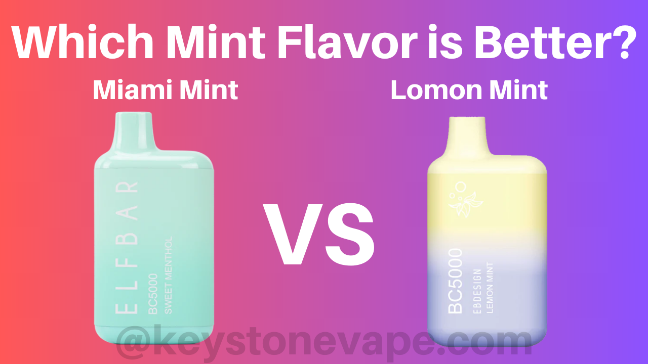 Miami Mint Elf Bar vs Lemon Mint Elf Bar